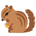 :googlesquirrel: